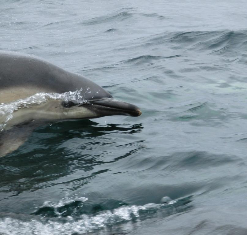 Aultbea Lodges Zewnętrze zdjęcie
